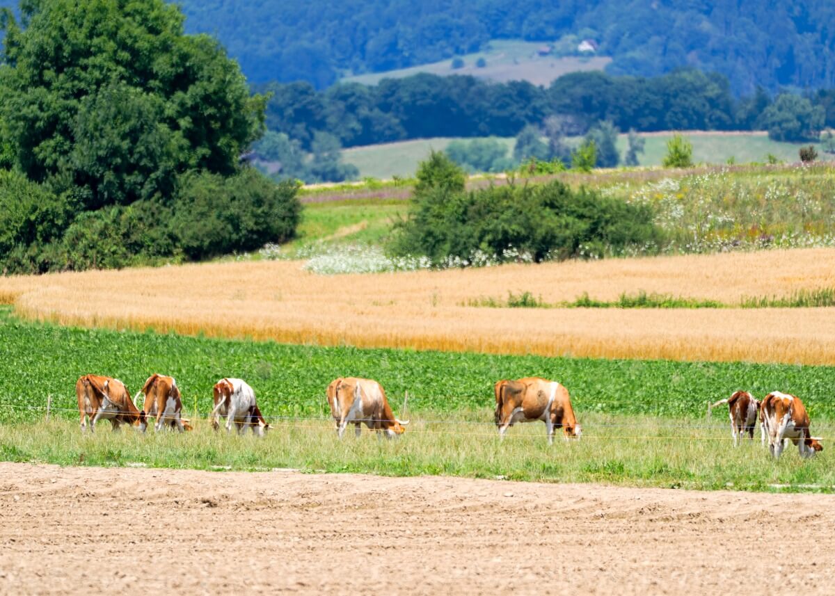 Egyeztetés alatt az Agro-ökológiai Program