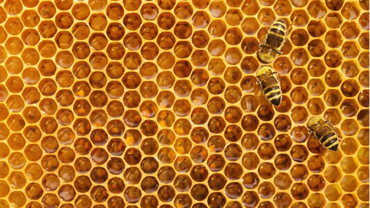 Így adózhatnak az őstermelők 2026-ban