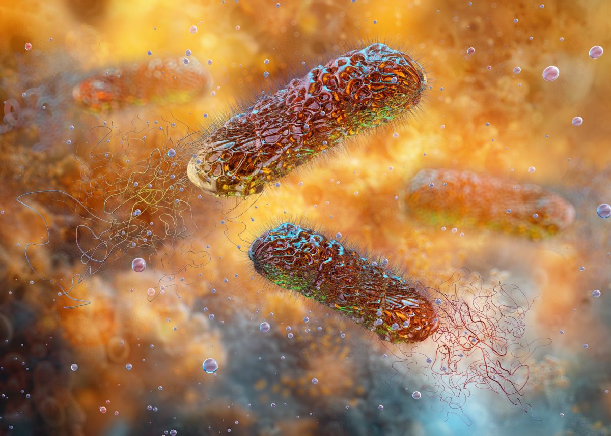 A kép a Pseudomonas aeruginosa baktériumot ábrázolja, amely a zöld köröm szindrómáért felelős