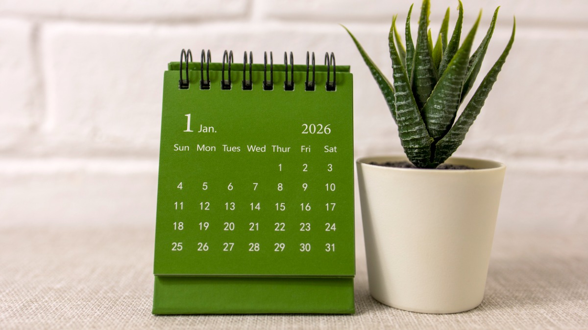 Új fogalom a foglalkoztatásban: tartós megbízás